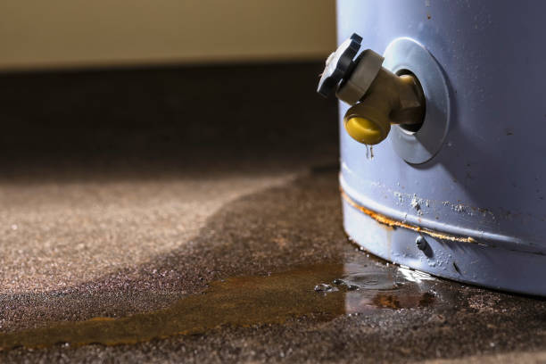 Best Carpet water damage restoration  in Green Village, NJ