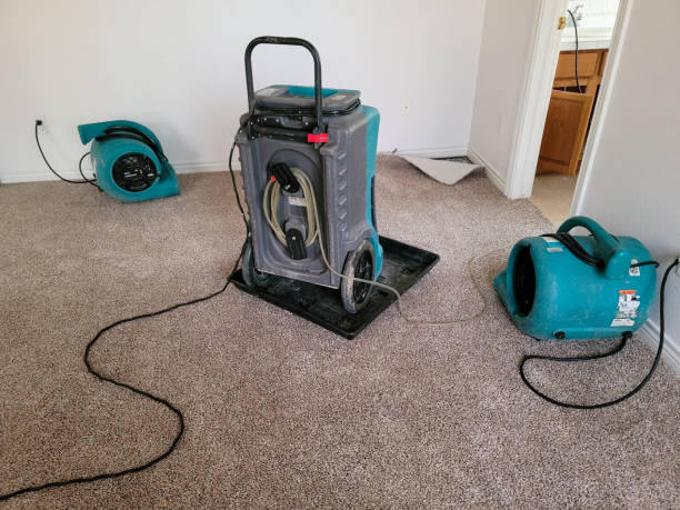 Best Water damage restoration near me  in Green Village, NJ