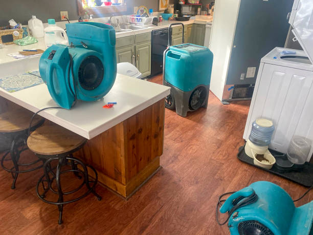  Green Village, NJ Water damage restoration Pros