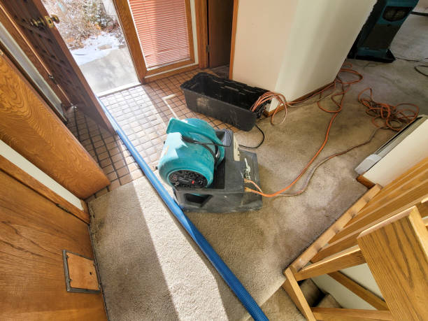 Best Basement water damage restoration  in Green Village, NJ