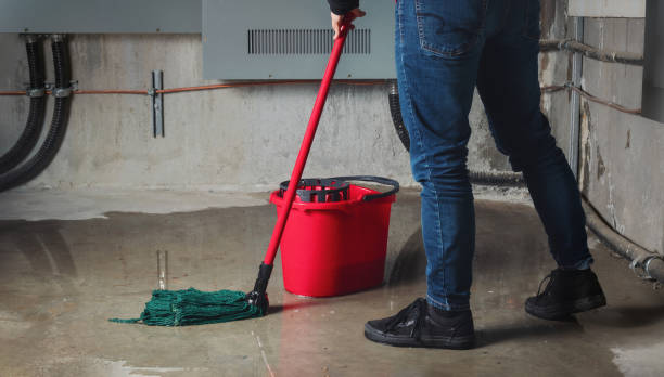 Best 24/7 water damage repair  in Green Village, NJ