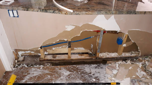 Best Sewage cleanup and water damage restoration  in Green Village, NJ