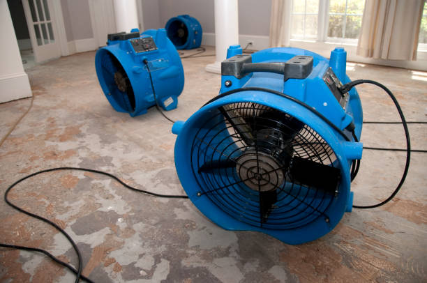 Best Professional water damage repair  in Green Village, NJ