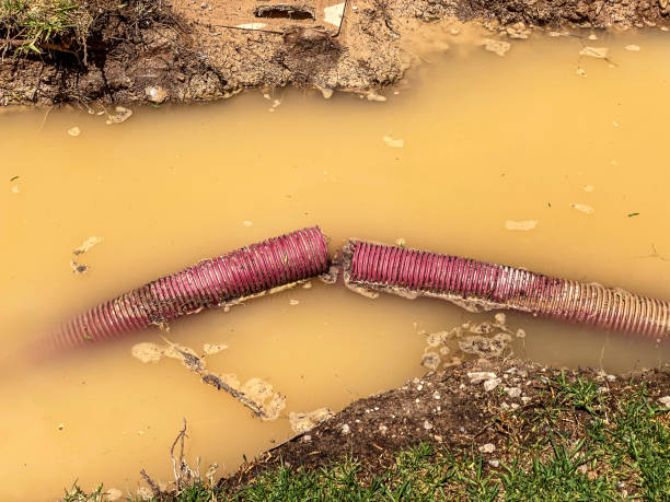 Best Water damage cleanup near me  in Green Village, NJ