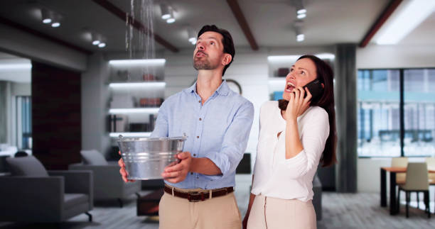 Best Commercial water damage restoration  in Green Village, NJ