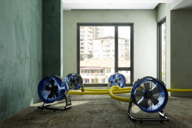Best Residential water damage restoration  in Green Village, NJ