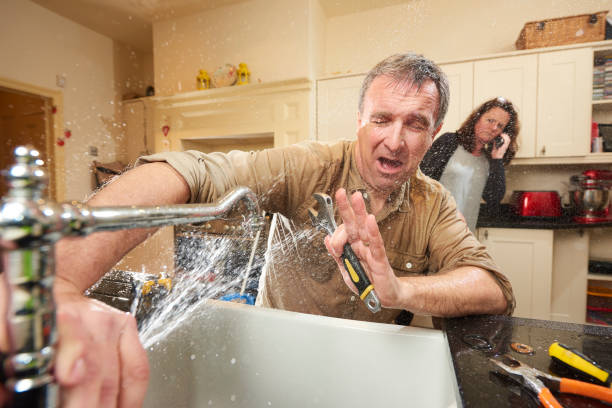 Best Flooded house restoration  in Green Village, NJ